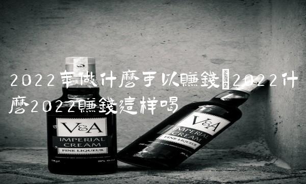 2022年做什么可以賺錢(2022什么2022賺錢這樣喝
